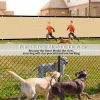 Artpuch Privacy Fence Screen Sand Customized Outdoor Mesh Panels for Backyard, Balcony,Patio,Construction Site with Zip Ties